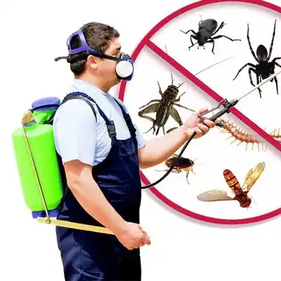 pest control Seligman